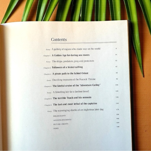 VINTAGE 1978 The Pirates by Douglas Botting “The Seafarers” Series – Illustrated - Picture 8 of 14